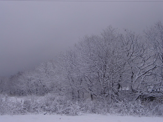 28569 (a): :1280x960